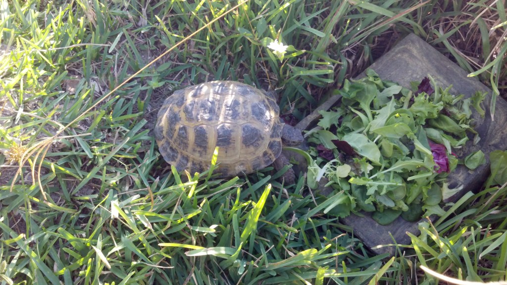 What’s wrong with this&nbsp;picture?