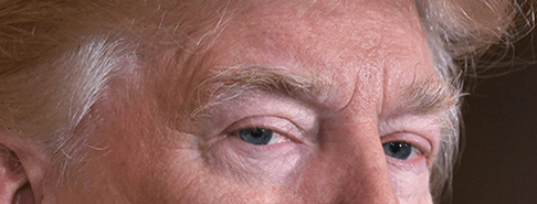 Compliments to Donald&nbsp;Trump