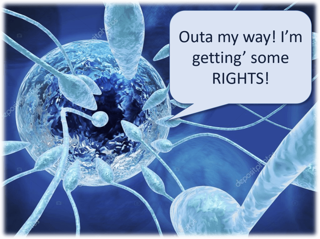 Roe is as Good as&nbsp;Dead