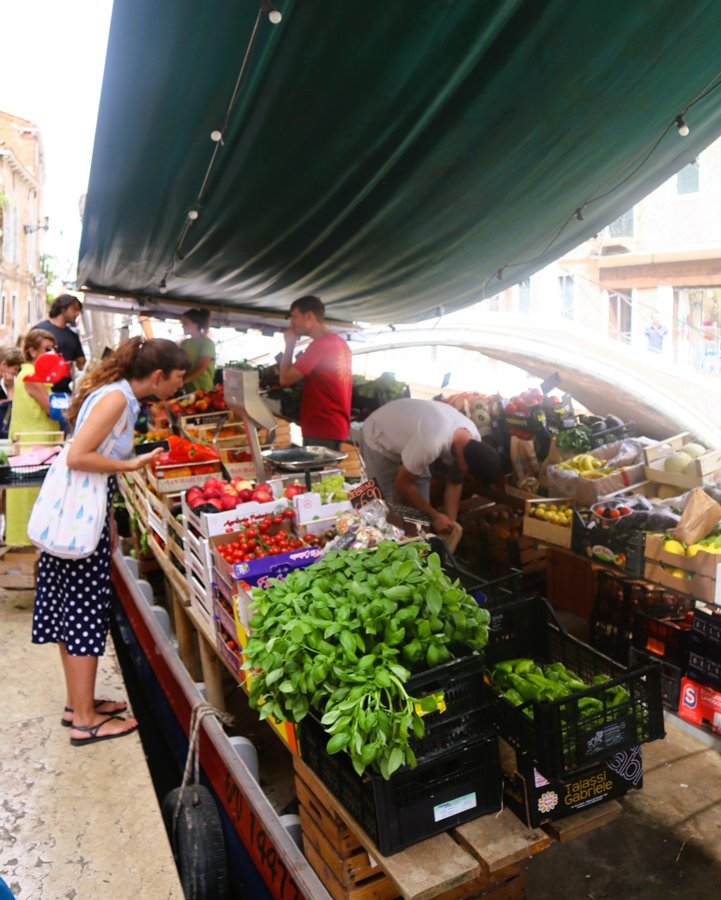 A Tale of Two&nbsp;Freedoms