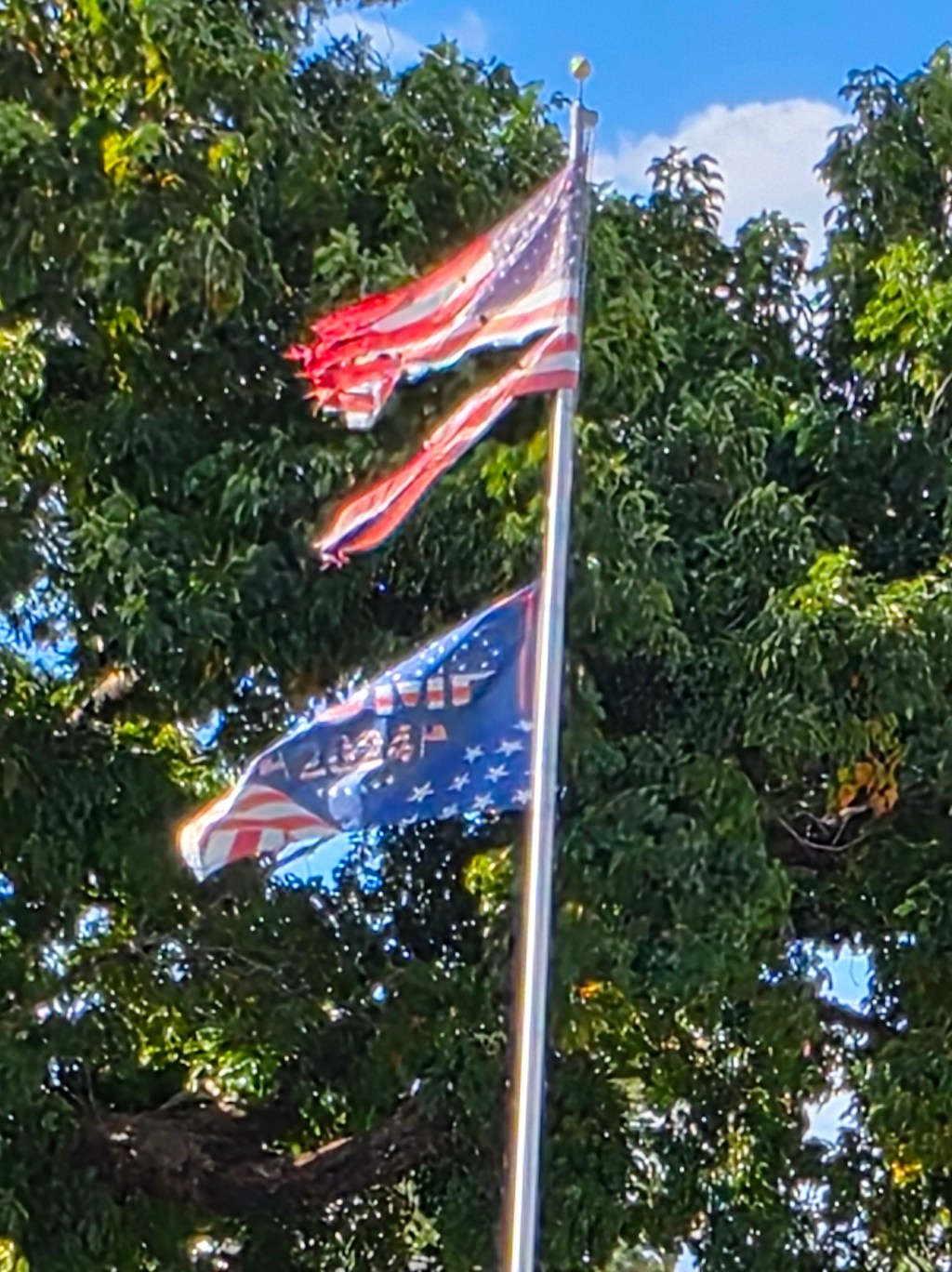 MAGA, Flags, and the Symbols We Love